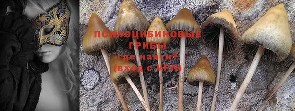 эйфоретик Алзамай