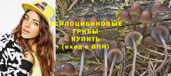 стаф Алексеевка