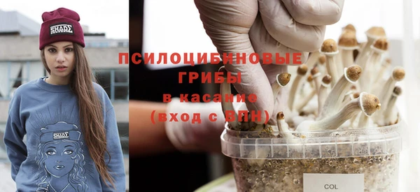 стаф Алексеевка