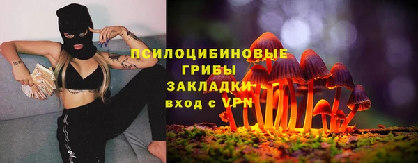 эйфоретик Алзамай